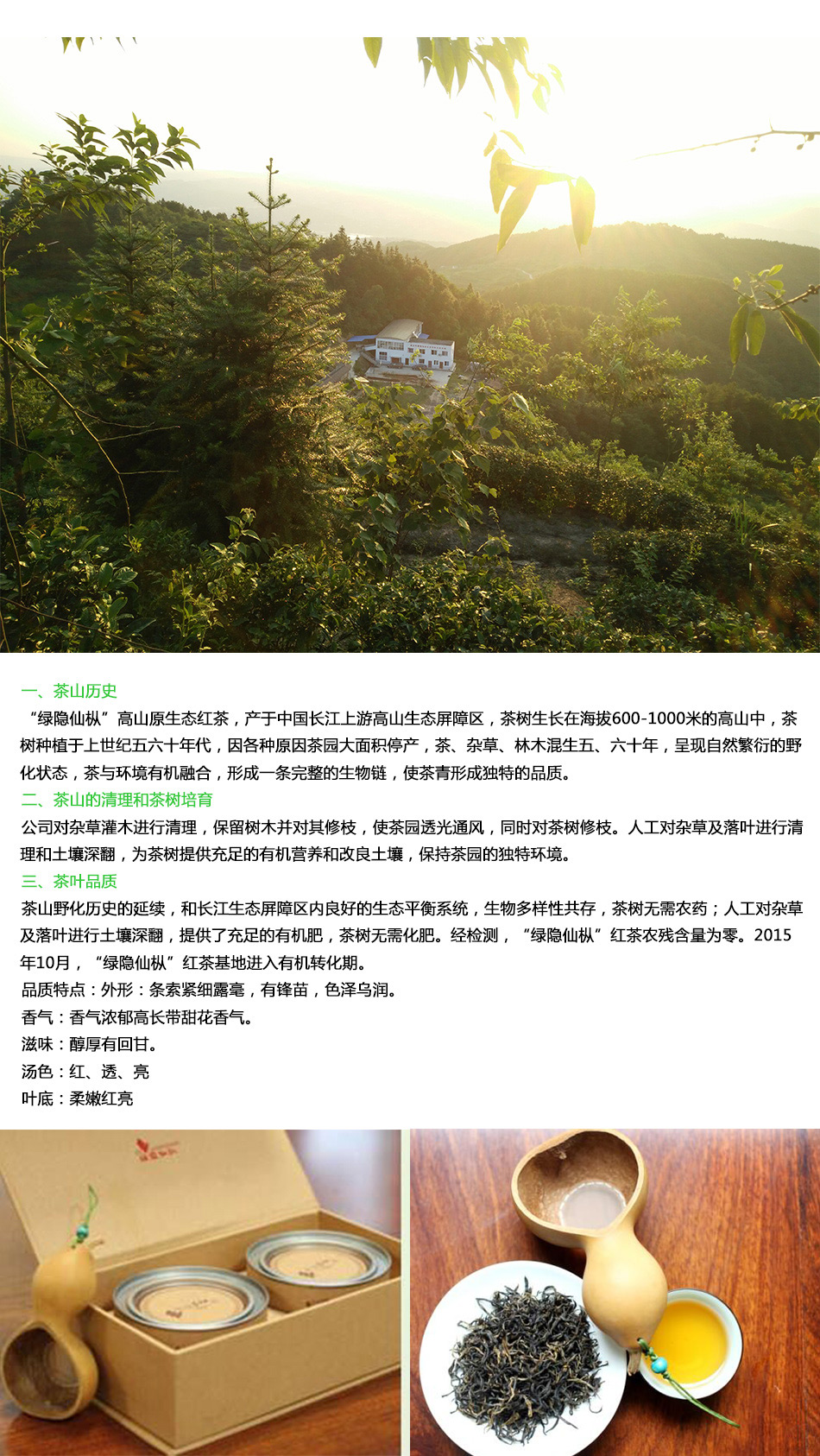 绿隐仙枞